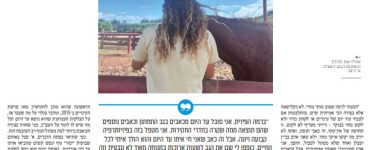 כתבה בעיתון בשבע על הקטין א' מדומא