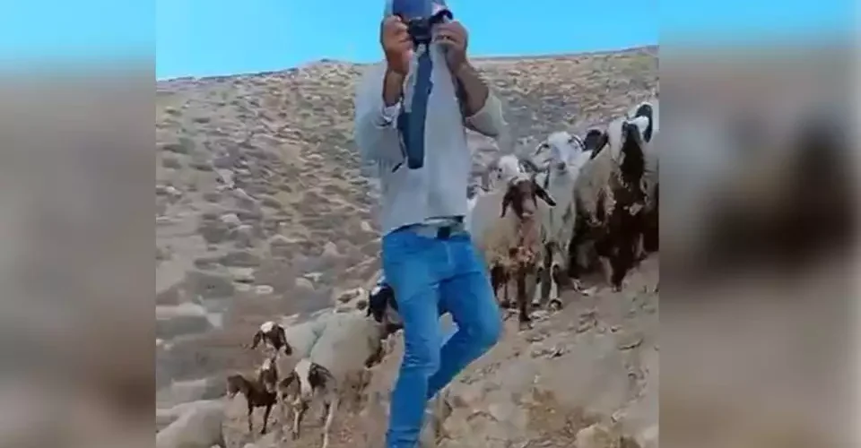 ערבי רעול פנים מעליל על רועה צאן יהודי כאילו הוא הורג כבשים