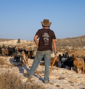 רועה צאן מתיישב חיים גולדברג פלאש90