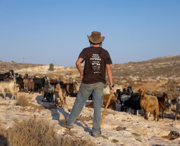 רועה צאן מתיישב חיים גולדברג פלאש90