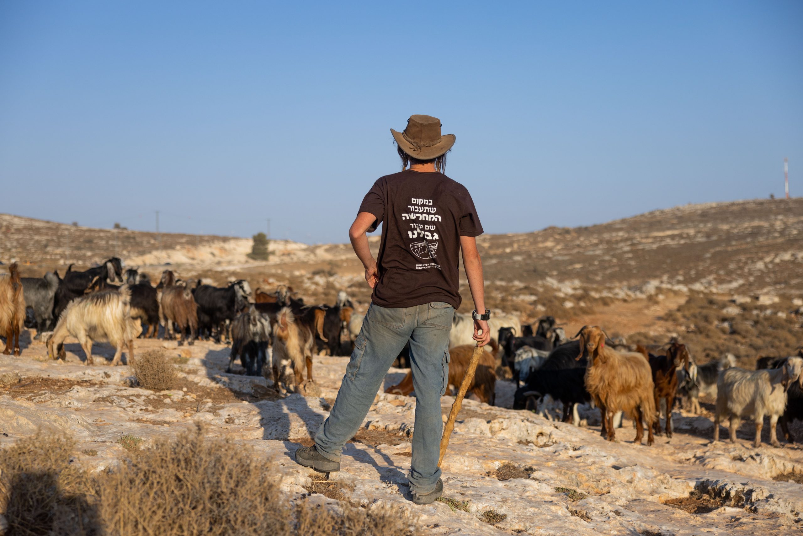 רועה צאן מתיישב חיים גולדברג פלאש90